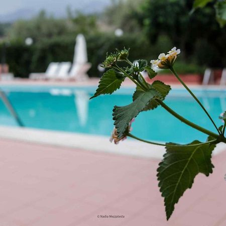 Il Casale Il Sole E La Margherita Campofelice Di Roccella Exterior photo