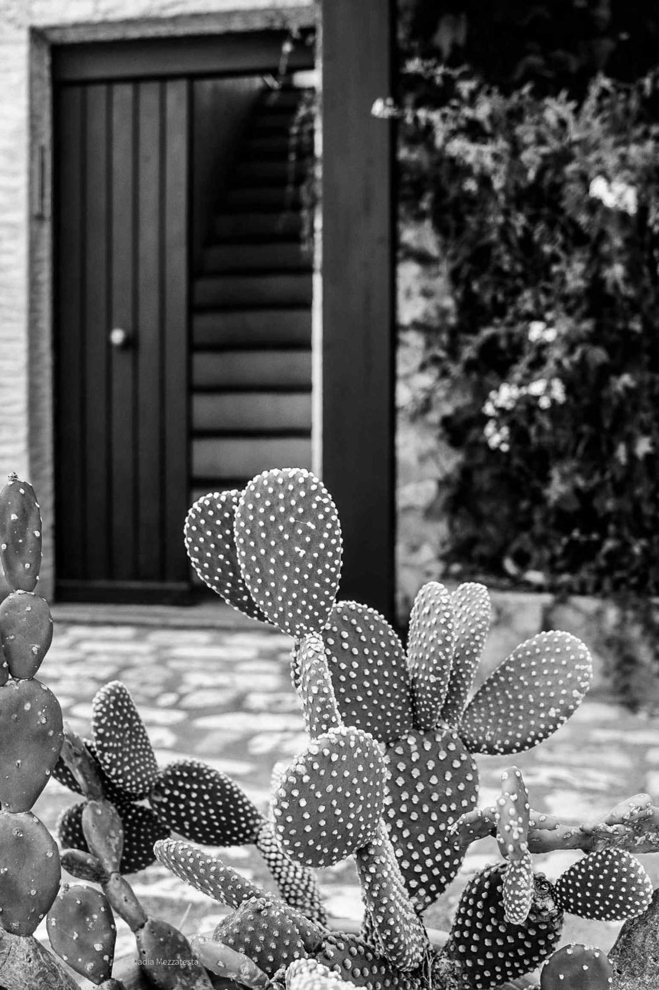 Il Casale Il Sole E La Margherita Campofelice Di Roccella Exterior photo